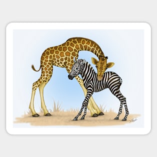 Giraffe and Zebra Sticker